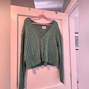 Green American eagle button up sweater